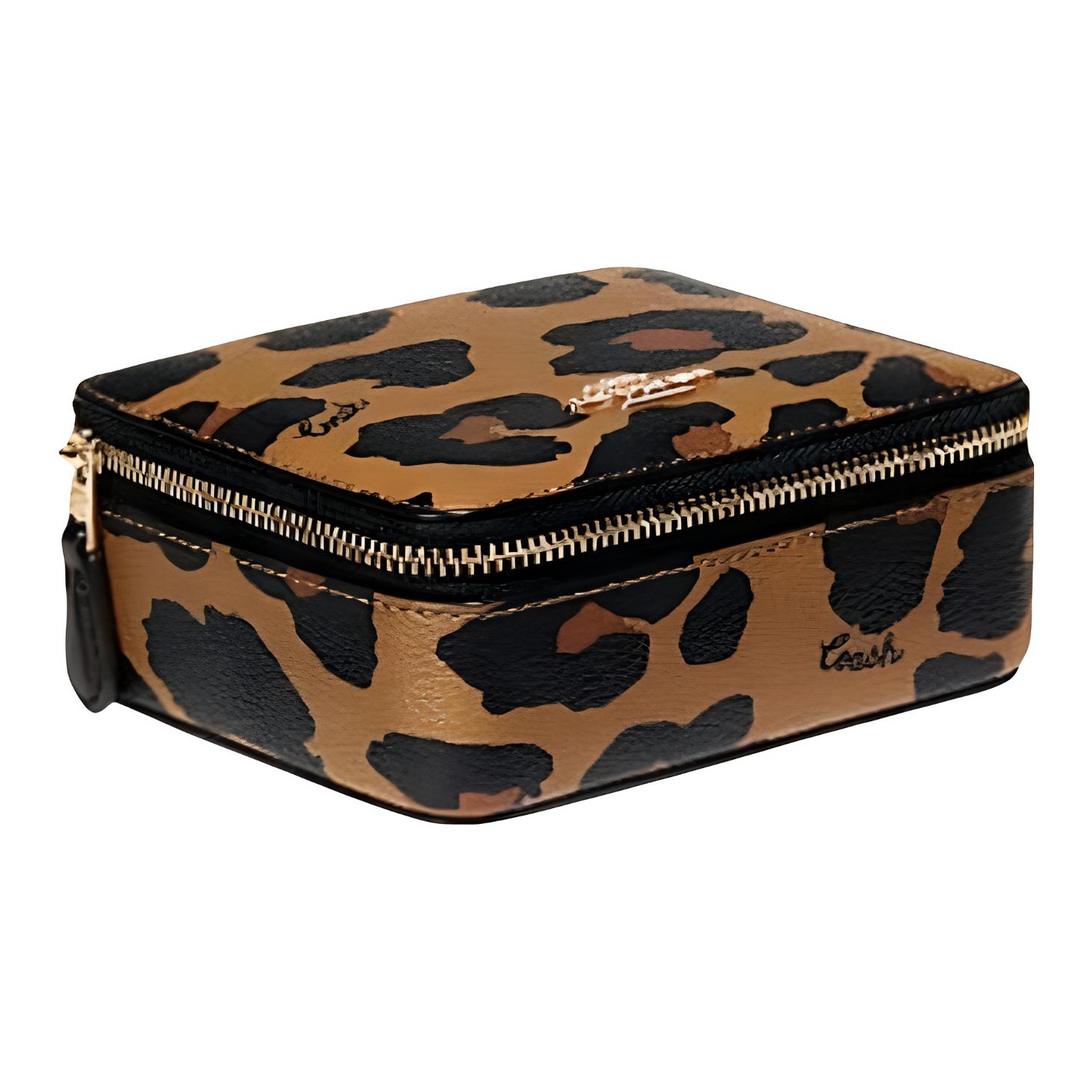COACH Canvas Patchwork mit Gla – Makeup Bewertung und Preis